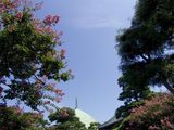 050903�ܳл����륹�٥�