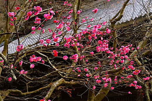 160111̯�ܻ�����