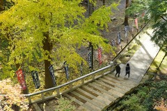 141207��Ĺ��Ⱦ��˷�ؤ�ƻ