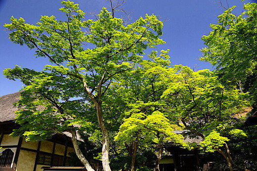 230412�߳л�����2