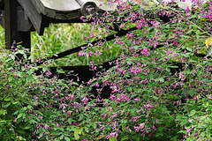 201007Åì·Ä»û¥Ï¥®