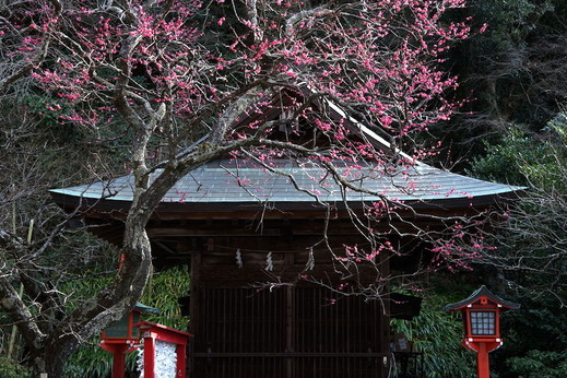 180128����ŷ���ҥ���2