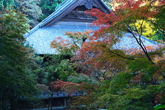 161202̯�ܻ�����1