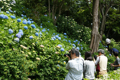 080607Ĺë»û¥¢¥¸¥µ¥¤