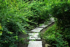 140904宝戒寺ハギ