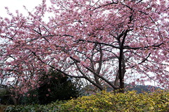 170220�ե����󥿡����ź�