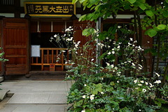 161025Ĺë�����奦�ᥤ����2