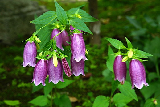 190603���һ��ۥ���֥���