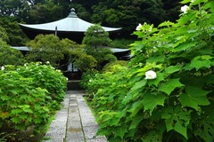 140829�������ե襦1