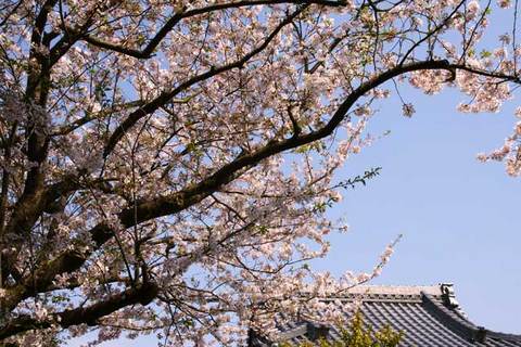 100411�ܳл�������