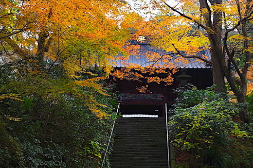 181226̯�ܻ�����1