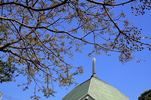 211120�ܳл��������μ�