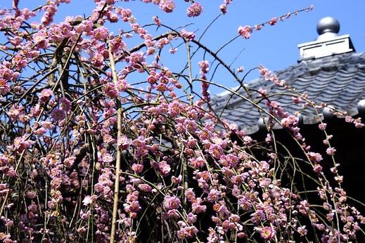 150322�����������쥦��