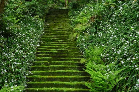 140505̯ˡ�����㥬