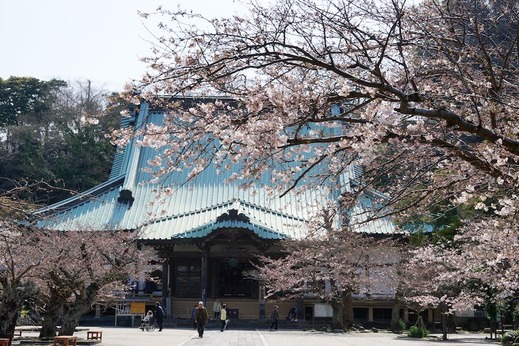 160331���������ᥤ�襷��1