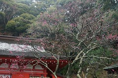 150122����ŷ���ҥ����Х�3