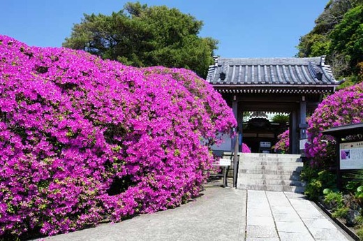 120511���ܱ��ĥĥ�