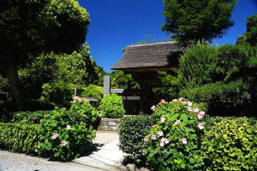 150806�˳ڻ��ե襦