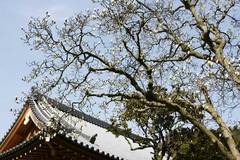 090318�߳л��ϥ��⥯���