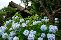 150621��Ļ���������3