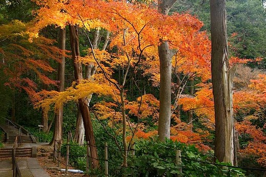 141224̯�ܻ�����1