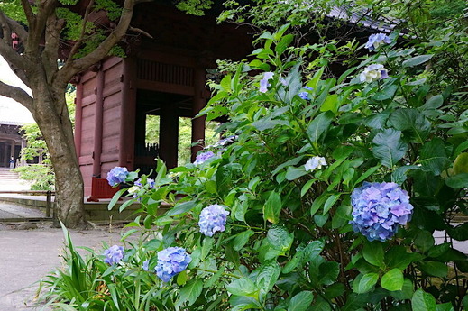 230605̯�ܻ���������2