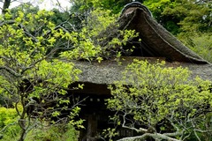 120420��Ļ�����