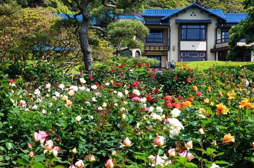 120518ʸ�شۥХ�1