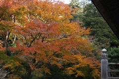 111220̯�ܻ�����3