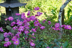 141019���һ����奦�ᥤ����2