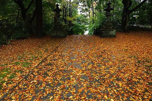 141126̯�ܻ�����2