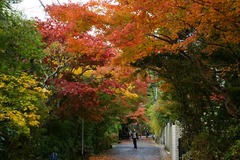 101123��¢������1