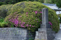 130425���ܱ��ĥĥ�1