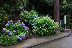 160623�߳л���������6