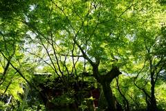 100508̯�ܻ����У�