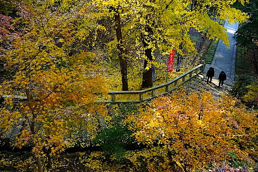 171210Ⱦ��˷����