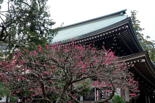 150315�߳л�����1