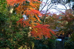 161221̯�ܻ�����1