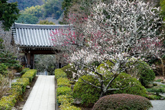 130215��̯������3