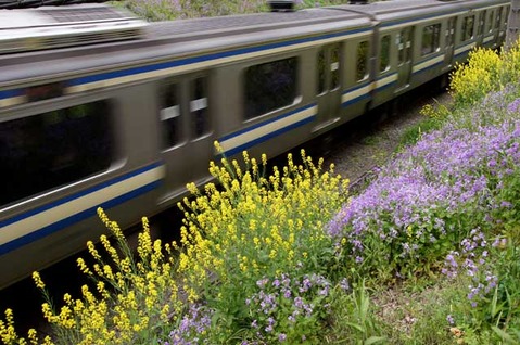 110416���ܲ���������󥮥祦