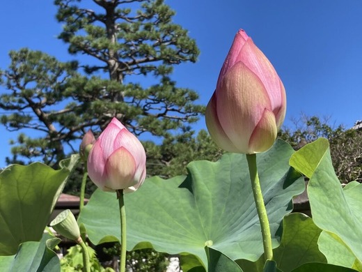 210718�ܳл��ϥ�1