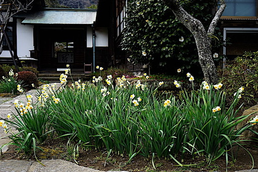 190211��¢����������1