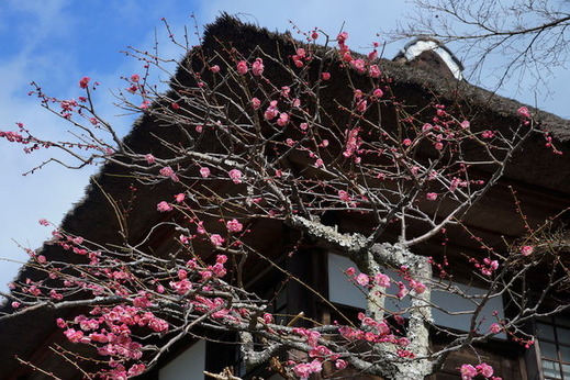 150221��¢�����ᣱ