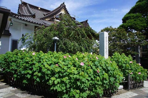 110806̯δ���ե襦