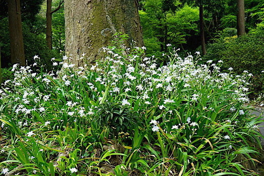 190422���һ����㥬