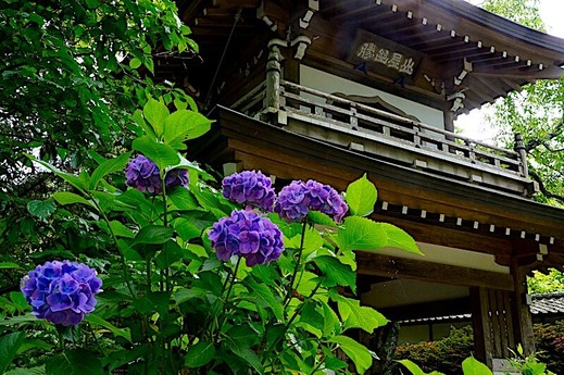 240607���һ���������2