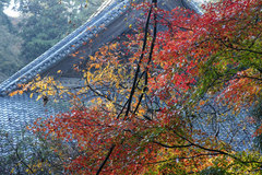 081210̯�ܻ�����