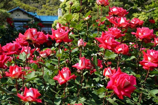 130512����ʸ�شۥХ�2