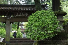 110423���һ�����