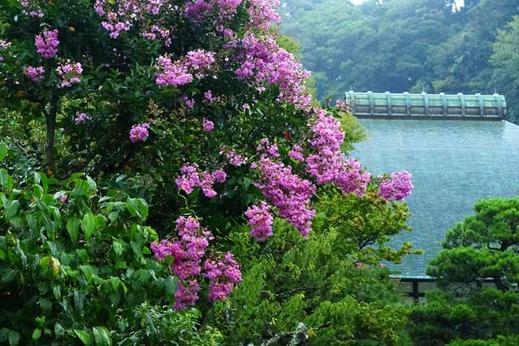 130825��̯�����륹�٥꣱